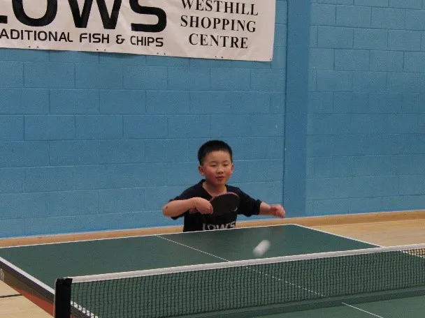 Table tennis in schools, Yifei Fang